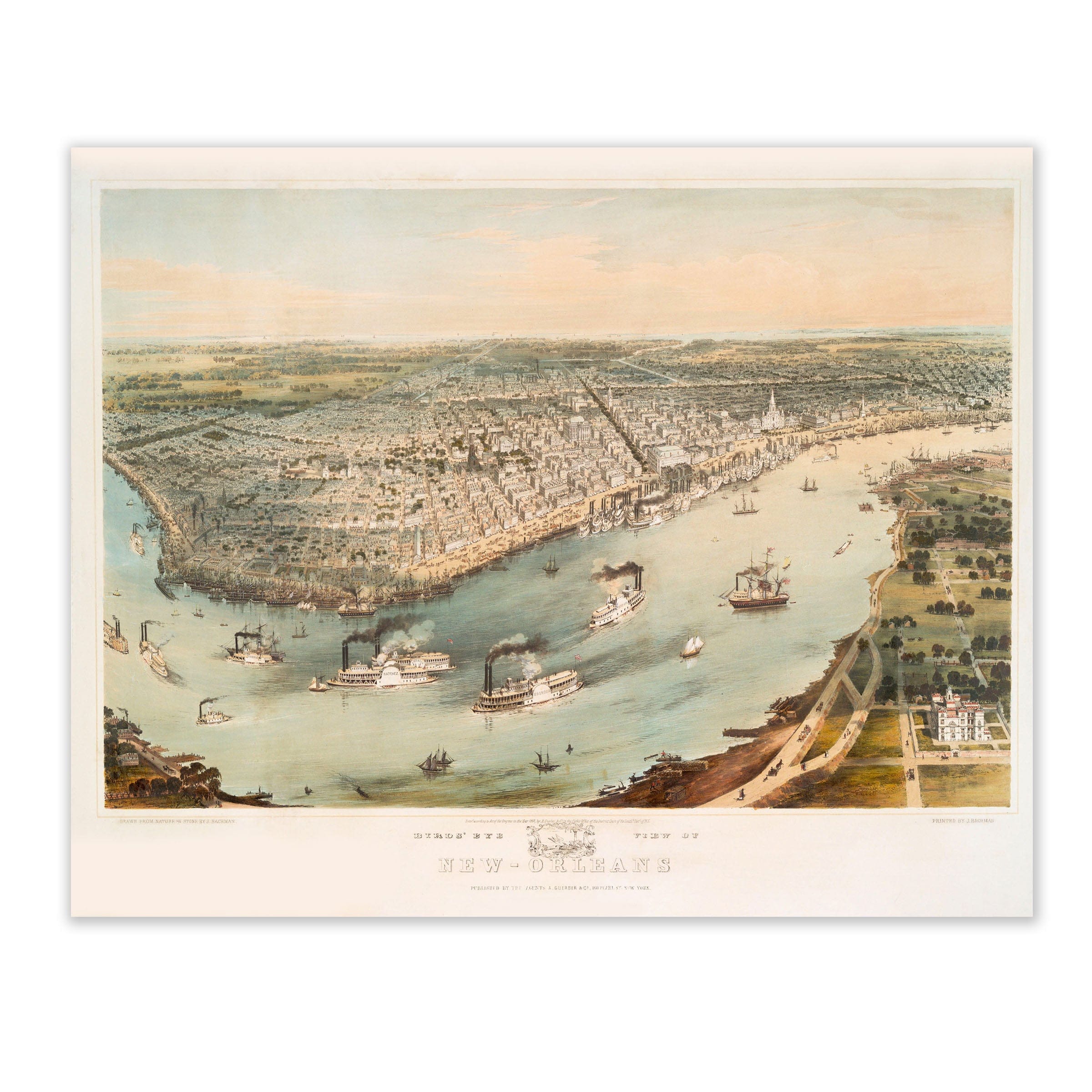 New Orleans Map 1851 - Archive Prints