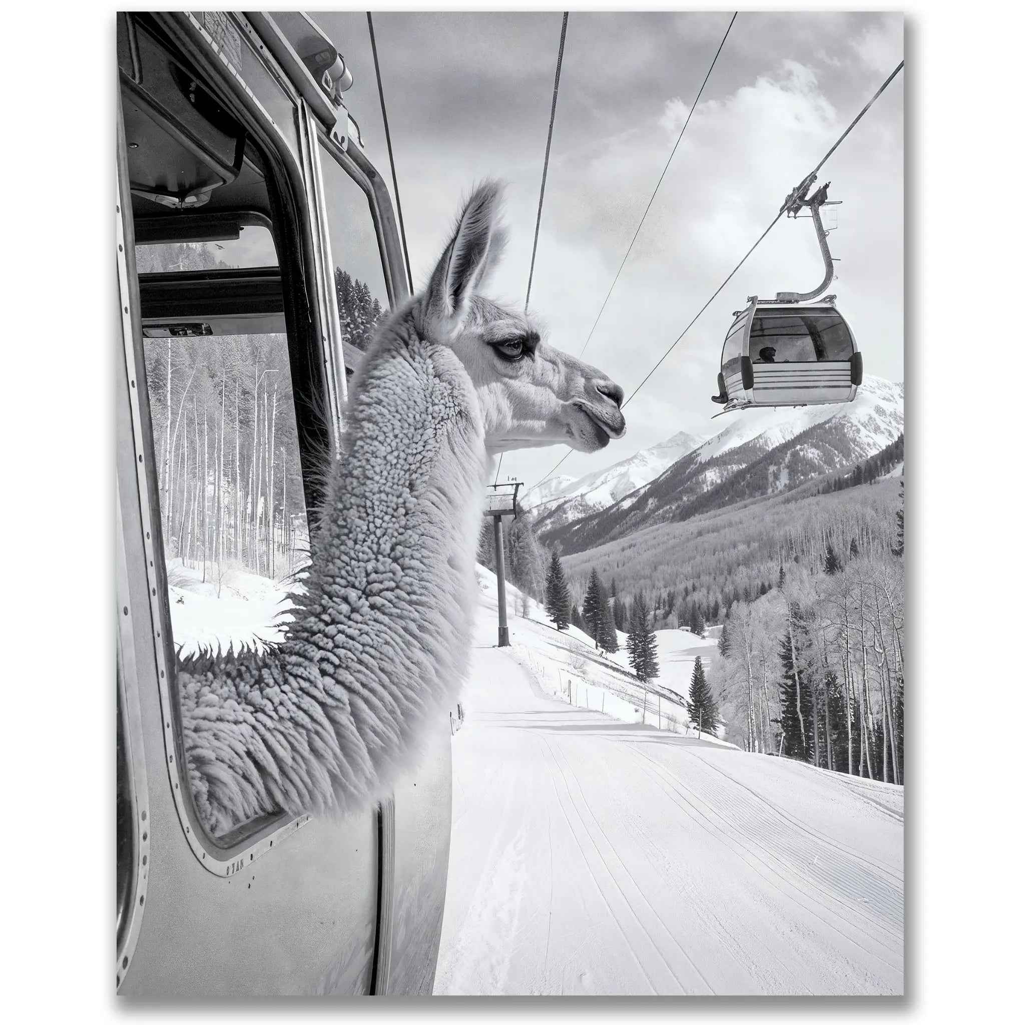 Llama Gondola Skiing - Quirky Llama Ski Photography in Alpine Surrealism