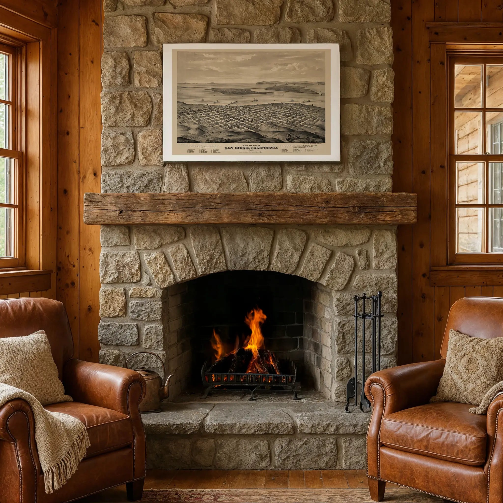 San Diego Bird's-Eye Map - Vintage 1876 California Historical City Map