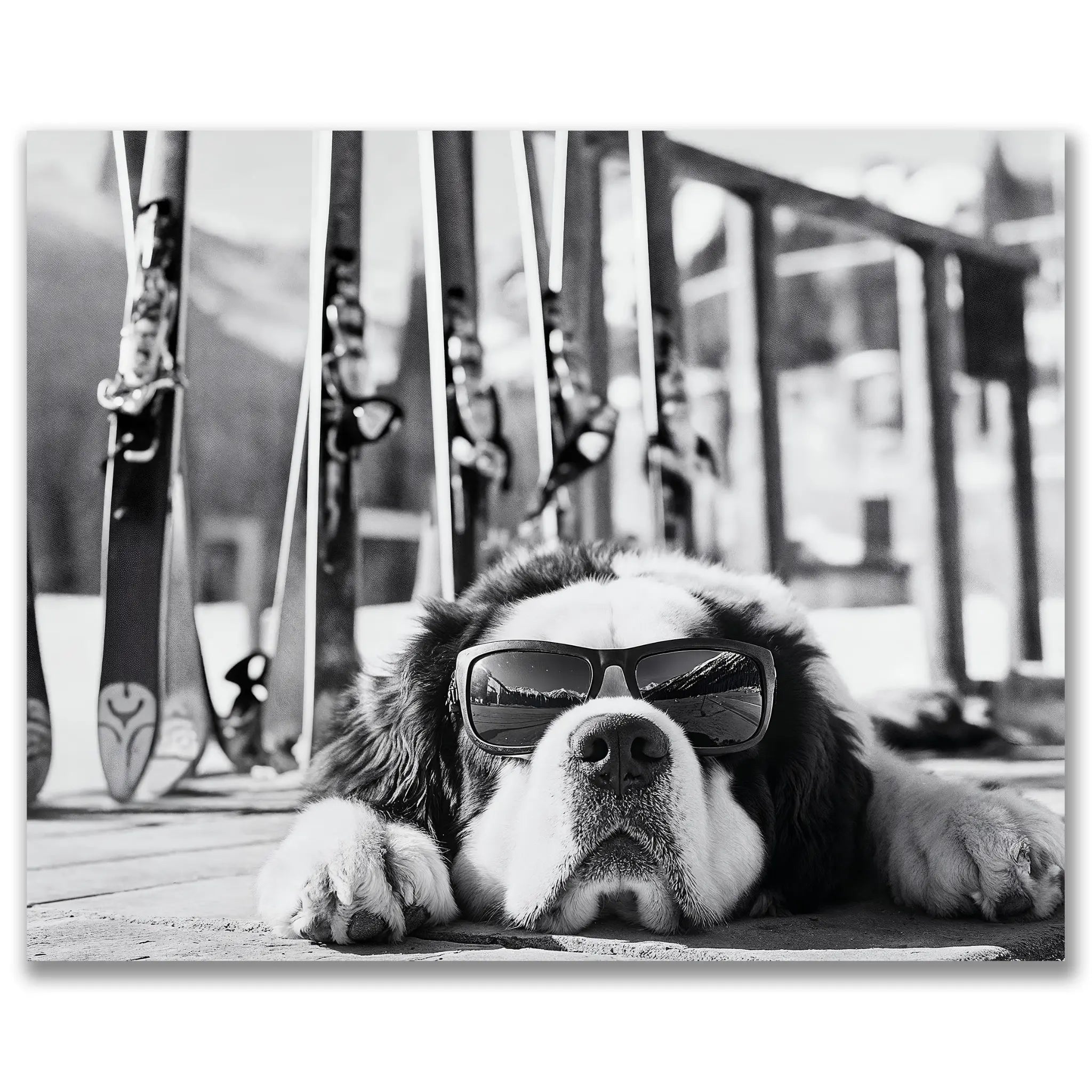 Skiing Dog with Sunglasses - Après-Ski Lodge Photography - Main Image