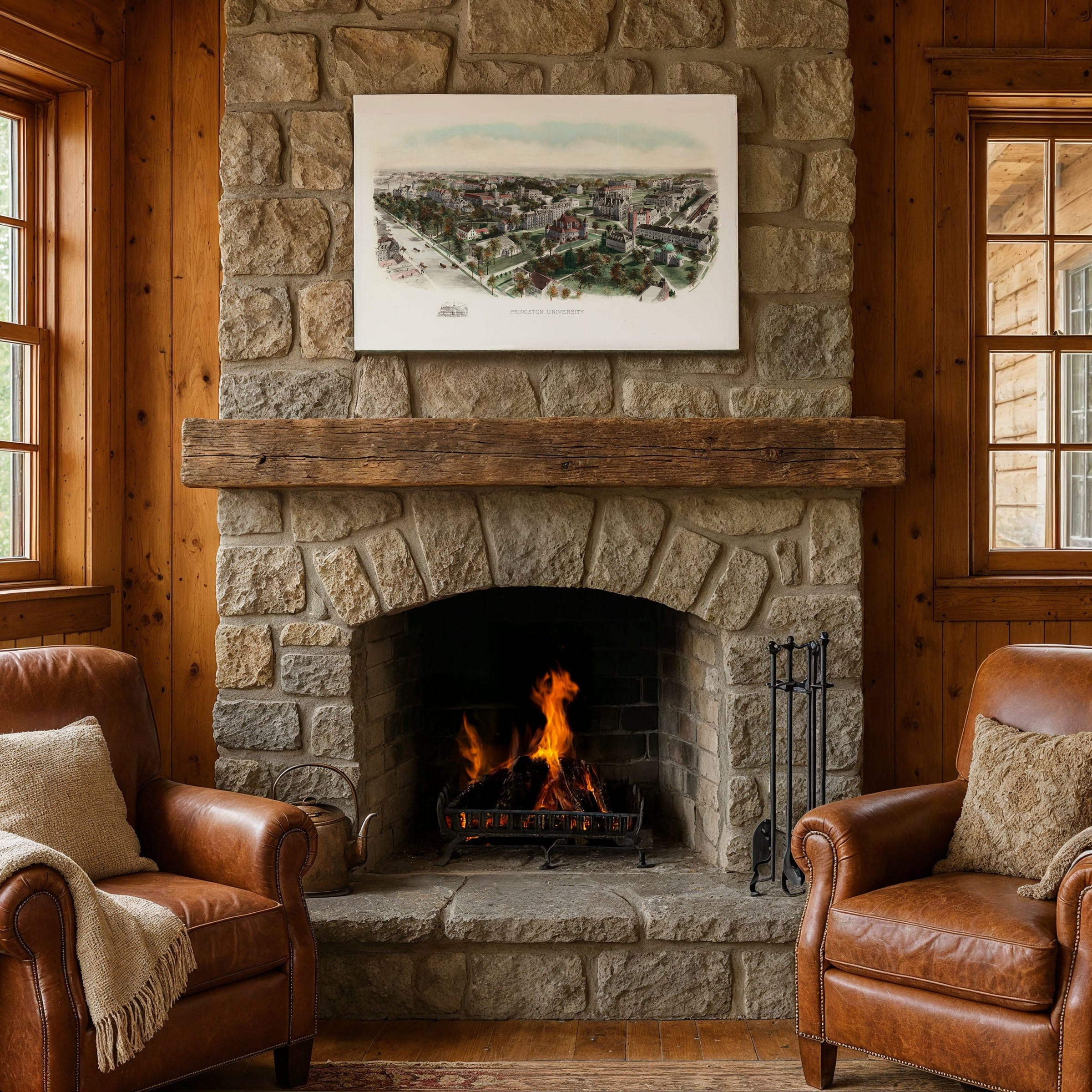 Princeton University, New Jersey Map 1906 - Campus Bird's Eye View