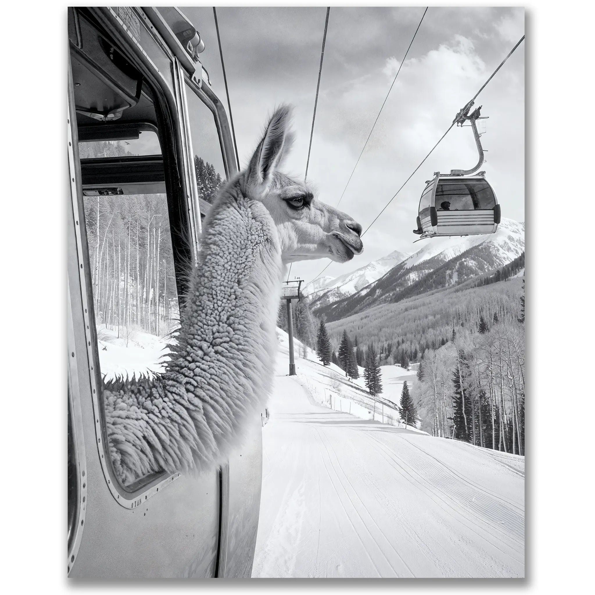 Llama Gondola Skiing - Alpine Surrealism Photography - Main Image